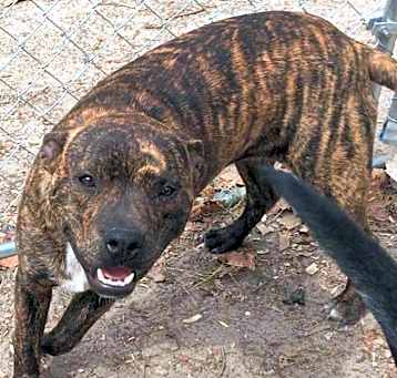 Photo of Axle