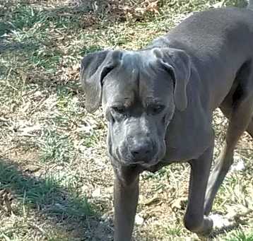 Photo of Thor