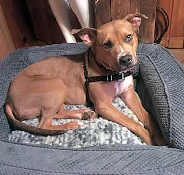 Photo of Lyric