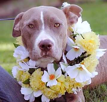 Photo of Molly