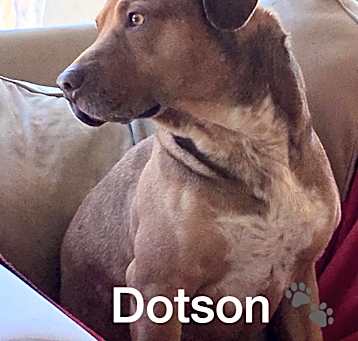 Photo of Dotson