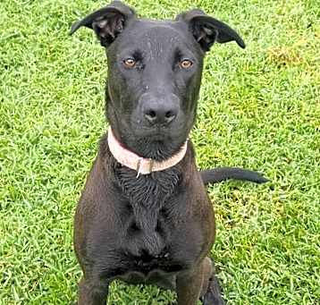 Photo of skye