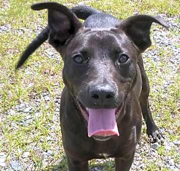 Photo of Cooper-URGENT