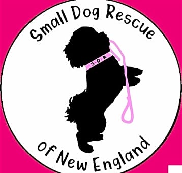 Photo of FOSTERS NEEDED!