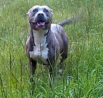 Photo of sosha