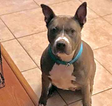 Photo of Diamond