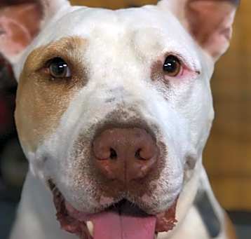Photo of Tuffly