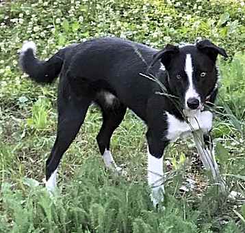 Photo of Jinx