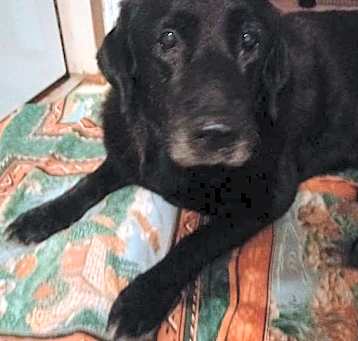 Photo of ABBY