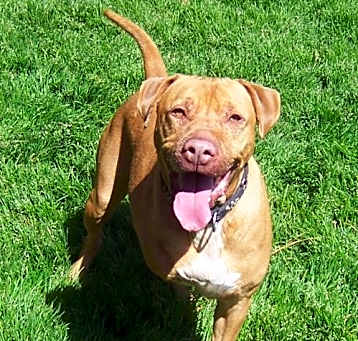 Photo of Buster