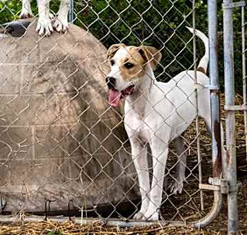 Photo of Hope