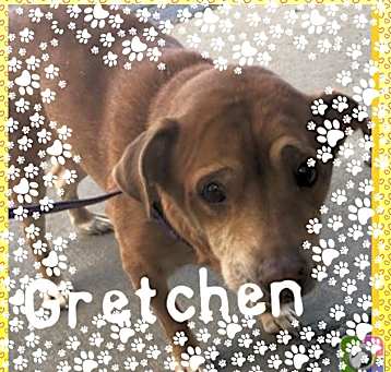 Photo of Gretchen