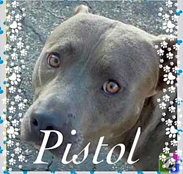 Photo of Pistol