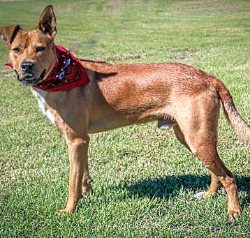 Photo of Xavier