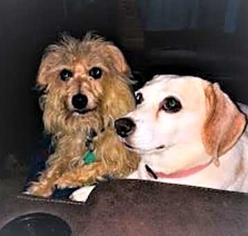 Photo of Susie
