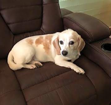 Photo of Susie