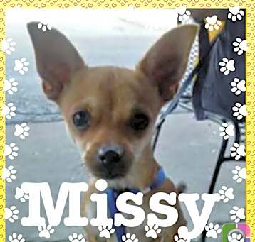 Photo of Missy