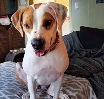 Photo of abbie