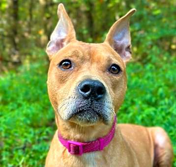 Photo of Maya