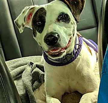Photo of Maggie