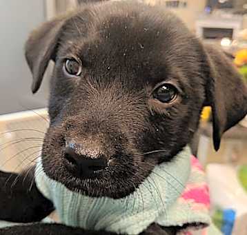 Photo of Hope