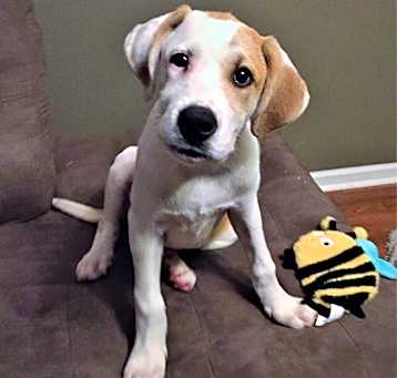 Photo of Teddy