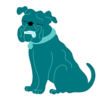Photo of Nelly