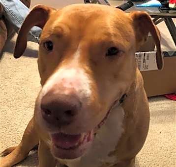 Photo of Jada