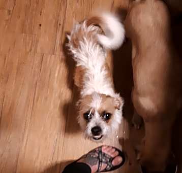 Photo of Mini