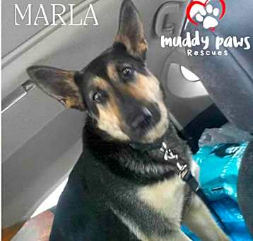 Photo of Marla