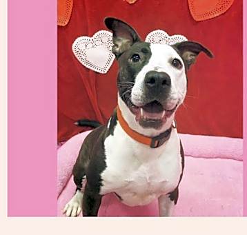 Photo of Amy