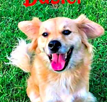 Photo of Buster