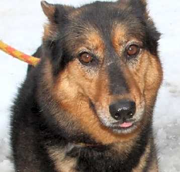 Photo of Zena