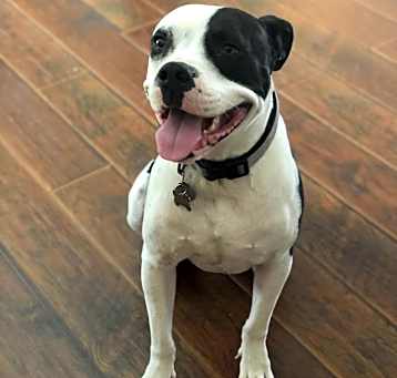 Photo of Spanky