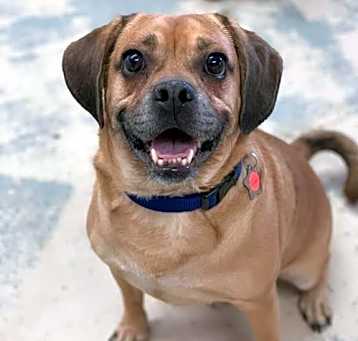Photo of Jaxson