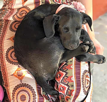 Photo of Sophia