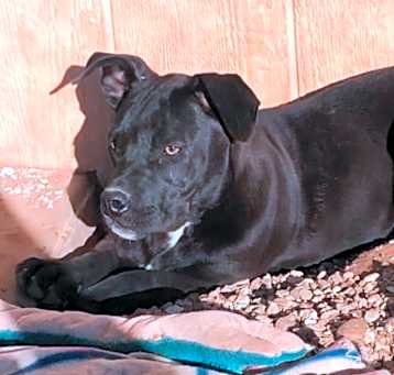 Photo of Shirley