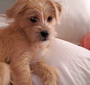 Photo of ELI