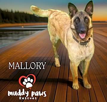 Photo of Mallory