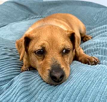 Photo of BOSLEY