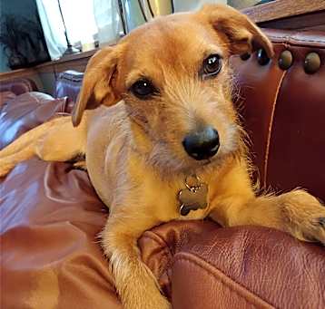 Photo of Huey
