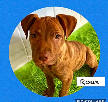Photo of Roux