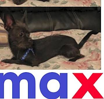 Photo of MAX