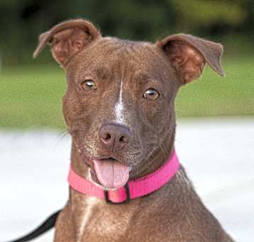 Photo of Sasha