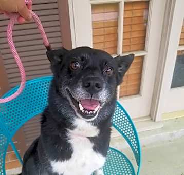 Photo of Lucy