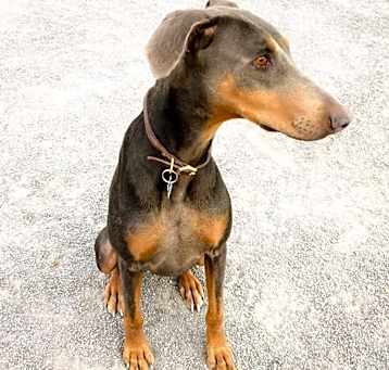 Photo of Rita