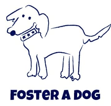 Photo of Foster A Dog