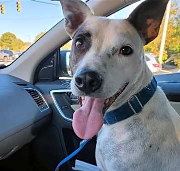 Photo of Sid