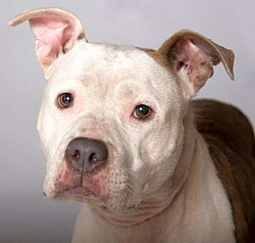Photo of Carmen