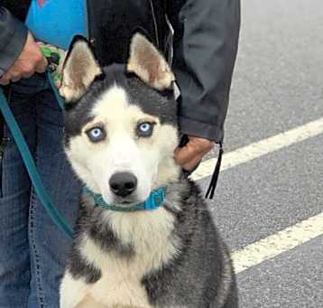 Photo of Axel